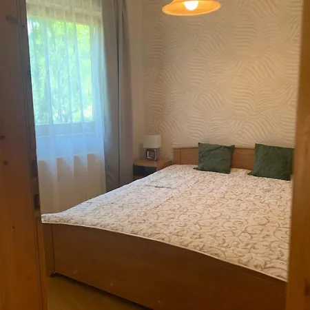 Selyemakac Apartman *